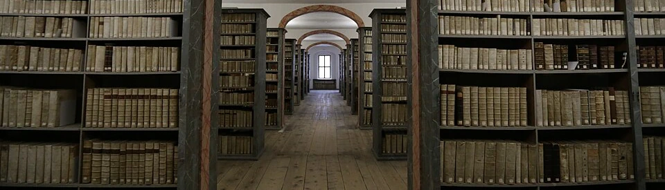 Illustration : alignement d'arches entre des étagères pleines de vieux livres reliés